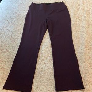 Apt. 9 Plum Bootcut Pants XXL Long